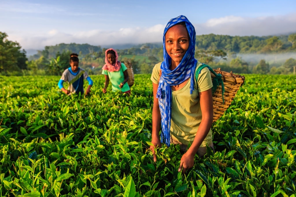 Is Ethiopia a beautiful country?